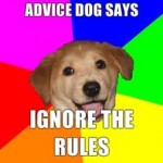 The new bark of Peter?